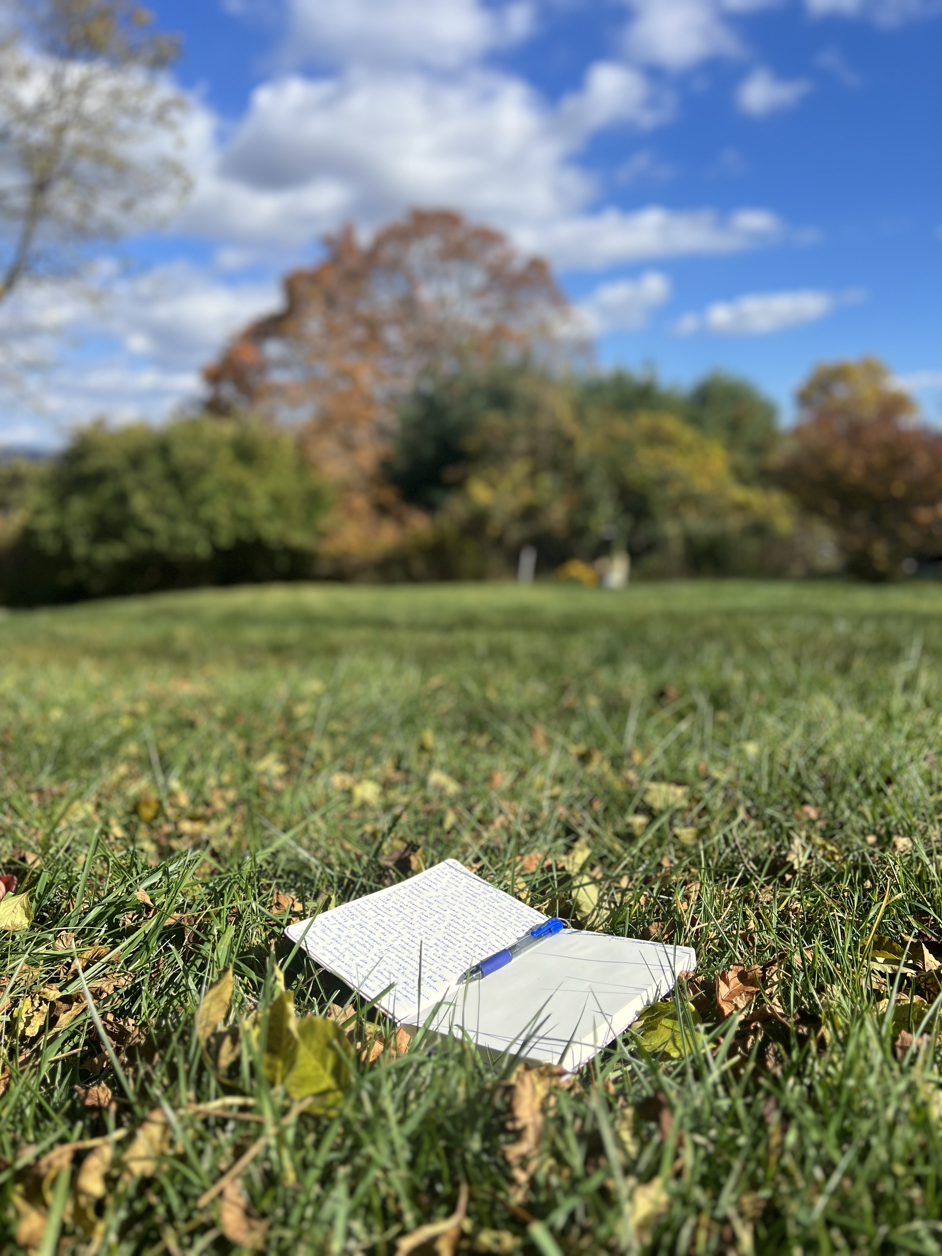 Green grass, notebook, pen and sunshine